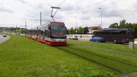Praha - Milady Horákové (Hradčanská) - intenzívně pěstovaný trávník s dotací vody